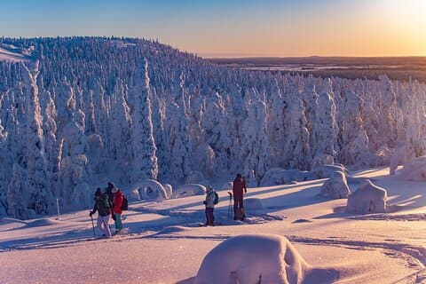 Full-Day Snowshoeing Adventure in Amethyst from Rovaniemi