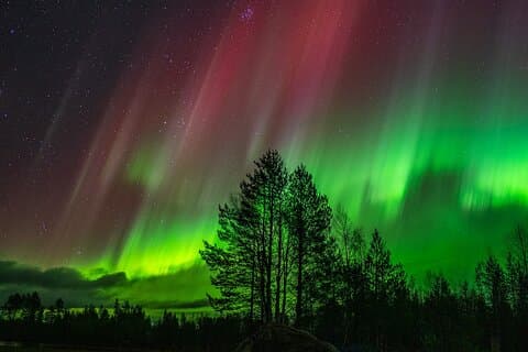 The Ultimate Guaranteed Aurora Hunt