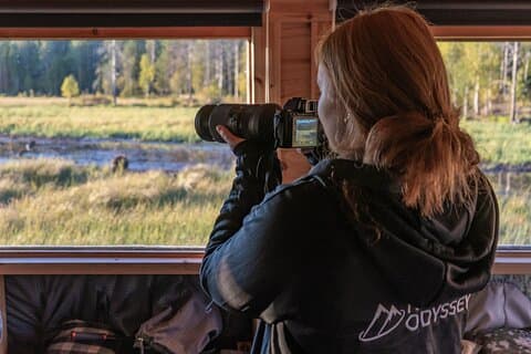 Bear and Arctic Animals 2 Day Trip from Rovaniemi