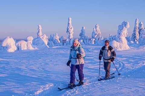 Private Snowshoe or Ski Adventure in Lapland from Rovaniemi