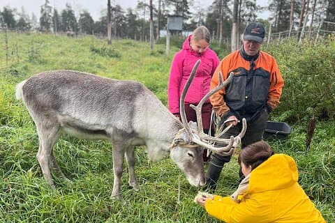 Kittila Lapland Arctic Adventure