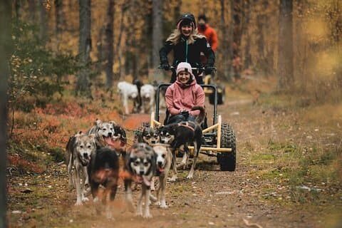 Midnight Sun and Autumn Northern Lights Husky Cart Tour