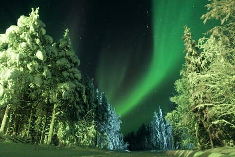 LEVI: Northern Lights Hunting – Money Back Guarantee