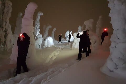 Arctic Night Snowshoeing near Ruka - Stars and Northern Sky