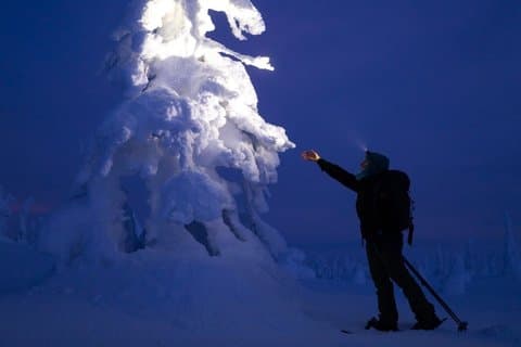 Skiing in Riisitunturi National Park at Night Wilderness Dinner