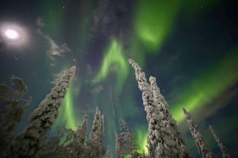 Aurora Hunting Tour by Car at Northern Lights in Ivalo and Inari