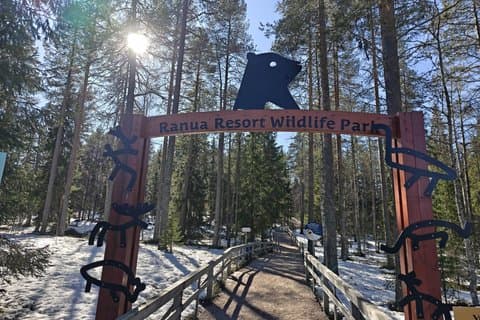 Arctic Wildlife Adventure Ranua Zoo Tour at Rovaniemi and Lapland