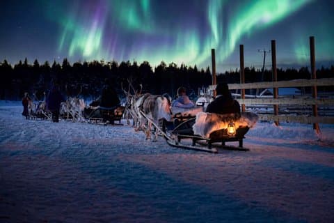 Rovaniemi Northern Lights Reindeer Sleigh Ride 3.5 KM