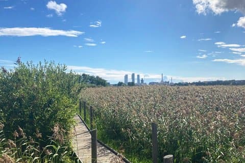 Helsinki's Urban Countryside & Beer Tour