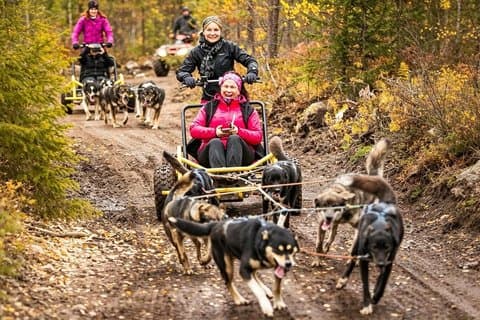 Husky Summer Adventure: Kennel Visit and Husky Ride - Rovaniemi