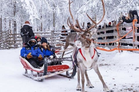 Arctic Combo, Huskies & Reindeer - Rovaniemi