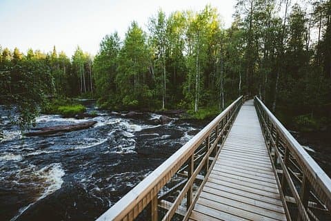 Santa Claus Village & Rovaniemi Nature, City Tour with Local BBQ