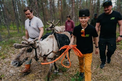 Arctic Reindeer Hike Experience - Rovaniemi