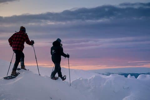 Levi to Rovaniemi Snowshoeing Transfer Experience