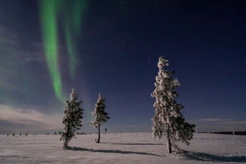 Northern Lights Hunt Transfer from Rovaniemi to Levi