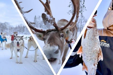 Husky Ride, Reindeer Ride and Ice Fishing One Day Experience