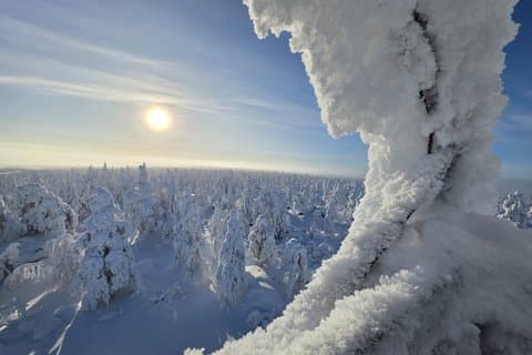 Guided Hike to Kivalot Hills and Jager Cabin