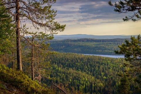 Autumn Hike in Levi with Wilderness Picnic