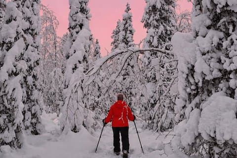 Reindeer Farm Visit and Snowshoe Adventure in wilderness Village