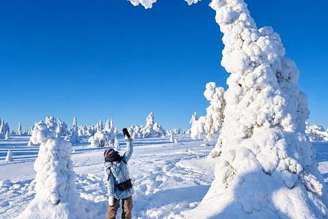 Riisitunturi National Park Full Day Guided Hike from Rovaniemi