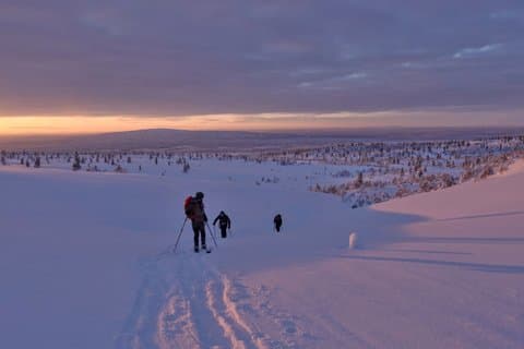 Ylläs: Backcountry Skiing in Pallas-Yllästunturi National Park