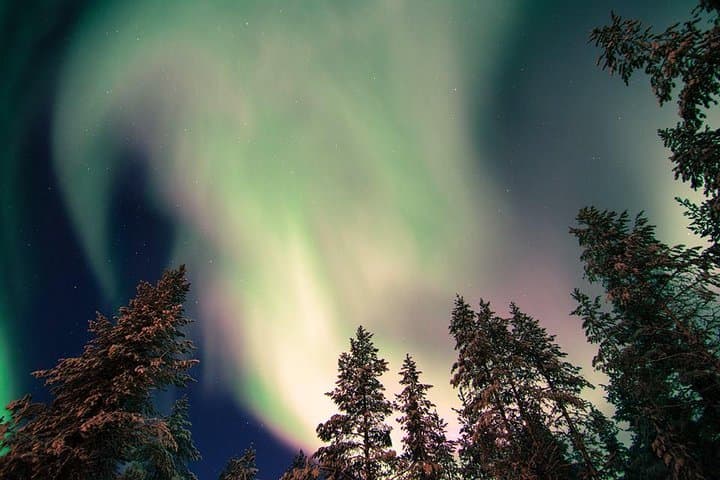 Aurora Picnic