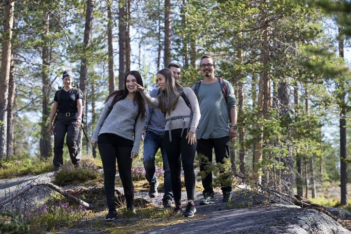 See the Nature around Rovaniemi
