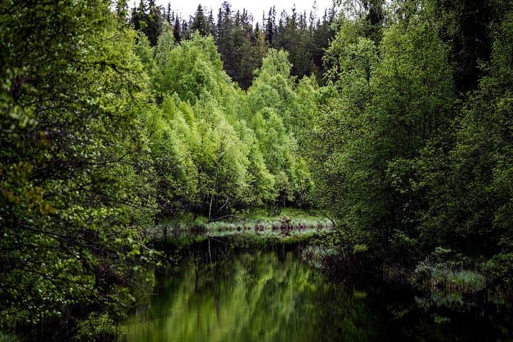 Arctic Family Nature Hike with Picnic (Summer & Autumn)