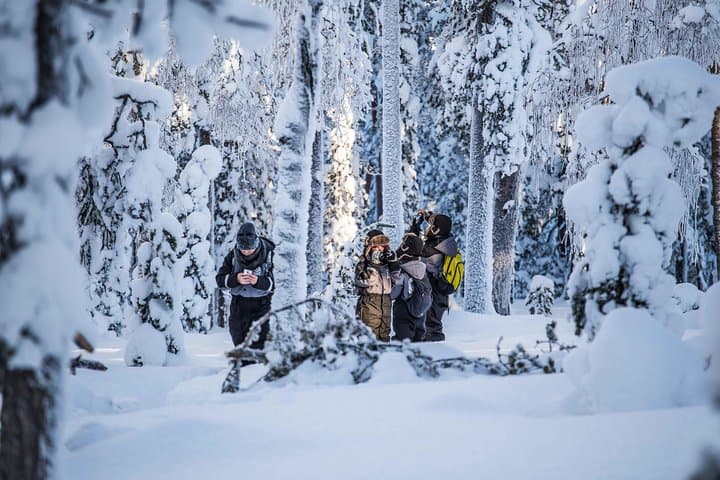 Arctic Family Nature Hike with Picnic