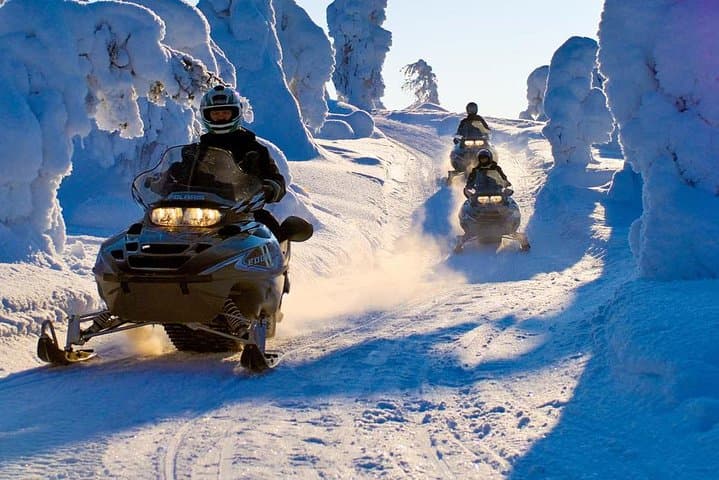 Lapland Family Snowmobile Safari from Rovaniemi