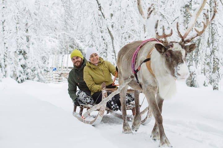 Lapland Reindeer Safari from Rovaniemi
