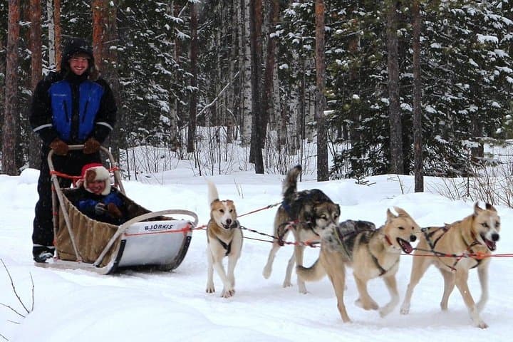 Lapland Reindeer and Husky Safari from Rovaniemi