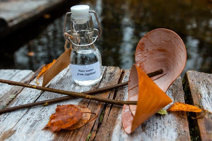 Magic of Nature – Birch bark cup making by a natural spring in Rovaniemi