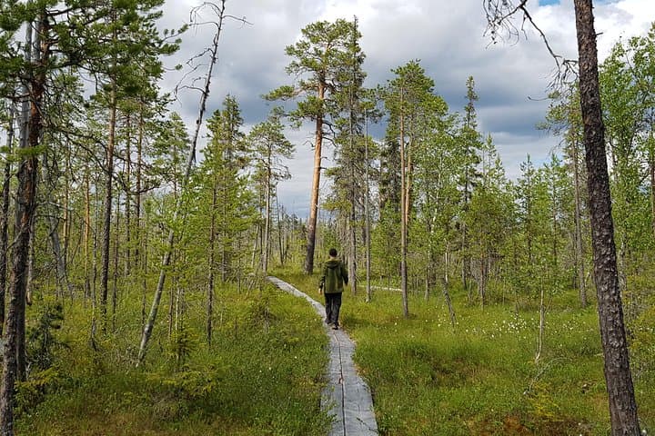 Rejuvenate Like A Local in the Arctic Wilderness