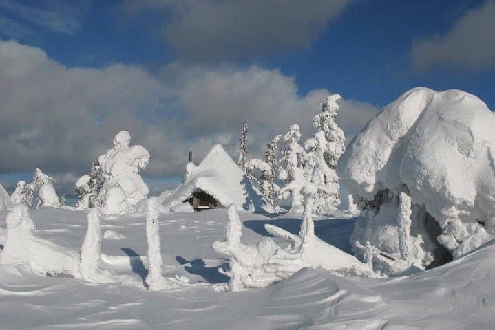 Group tour in Lapland