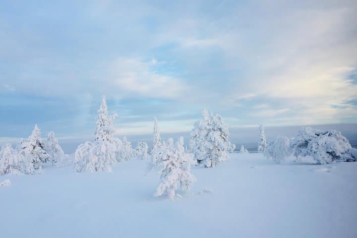 Group tour in Lapland