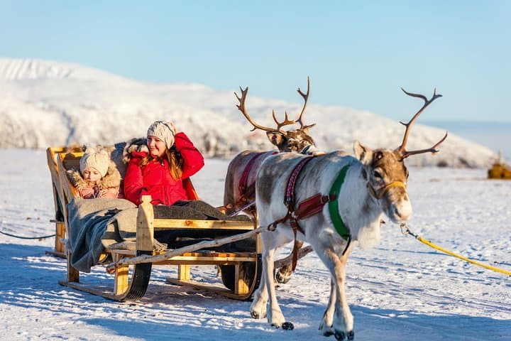 Rovaniemi Reindeer Farm visit and Safari
