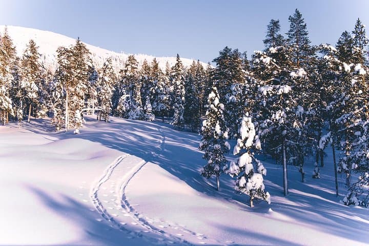 Private Wilderness Skiing Tour in Pyhätunturi With A Local Guide