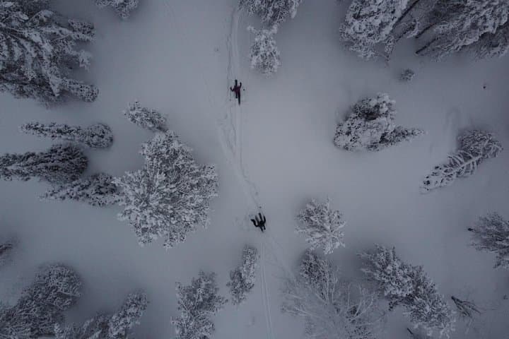 Private Northern Lights Tour With Skis Or Snowshoes in Pyhä