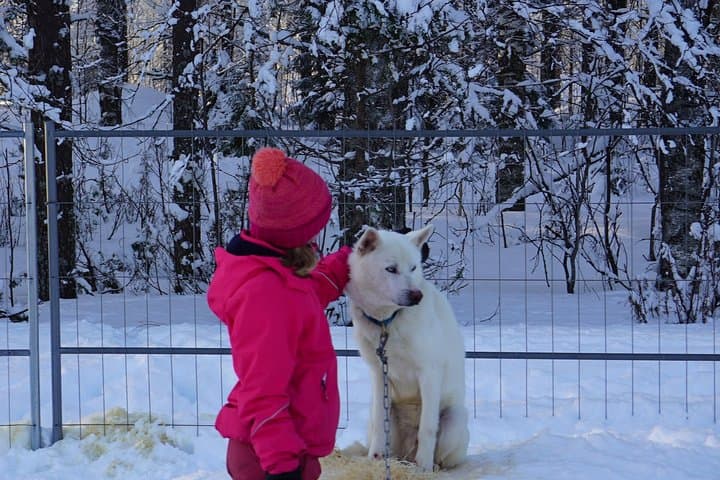 Visit farm & hot drink