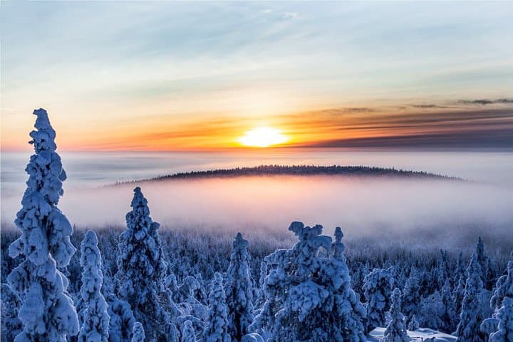 Further to the Wilderness - Rovaniemi