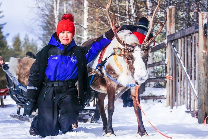 Snowmobile Safari to Reindeer and Husky Farms - Rovaniemi