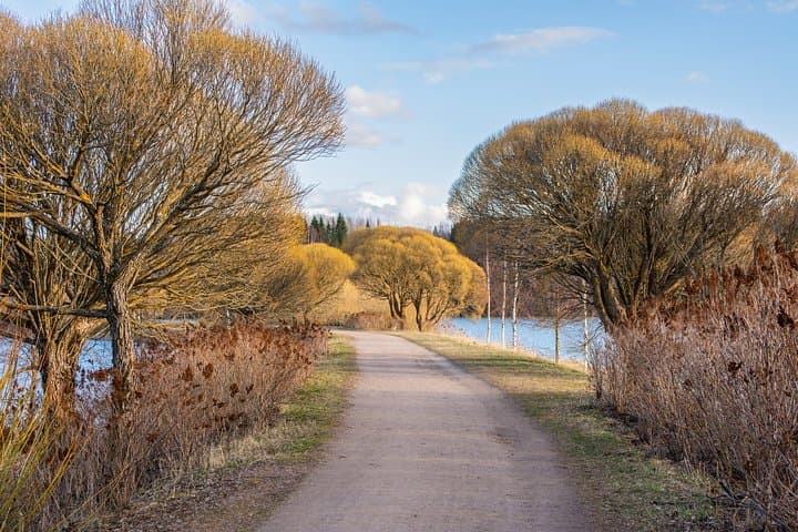 Private Walking Tour in Imatra: Legends, History & Scenic Beauty