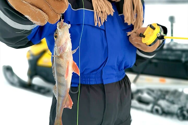 Great Ice Fishing Experience in Lapland