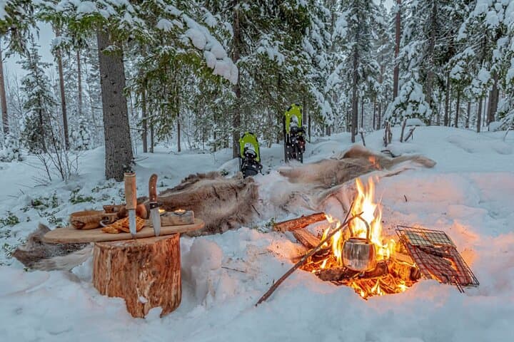 Group tour in Lapland