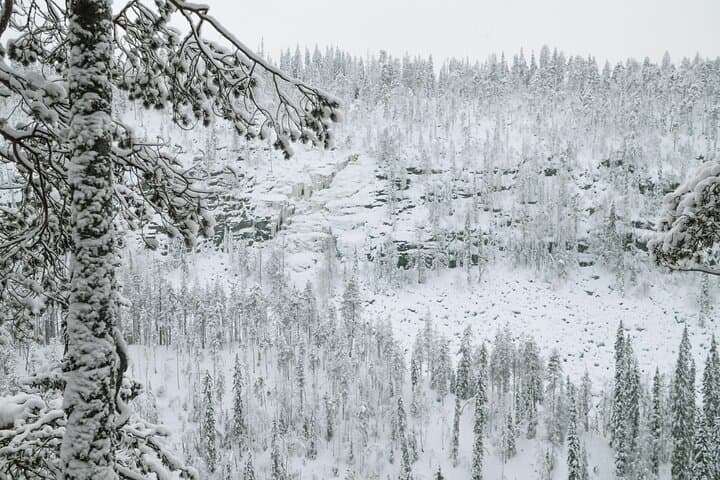 This is the view on top of the canyon: