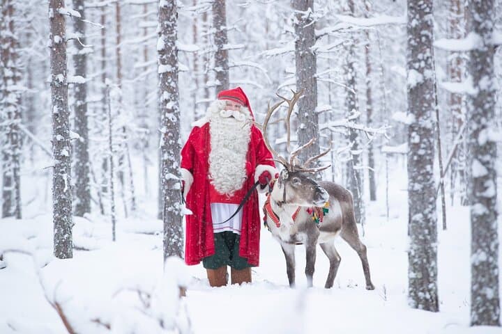 Santa's Premium: Reindeer, Husky, Buffet, Photo, Hotel Transfer