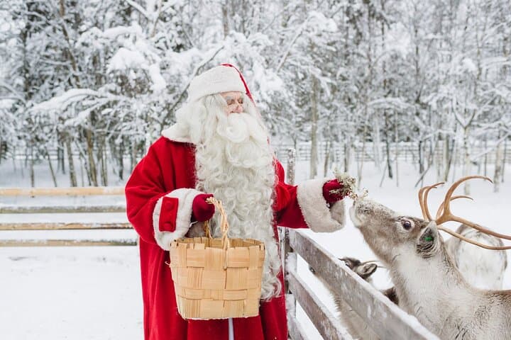 Santa's Premium: Reindeer, Husky, Buffet, Photo, Hotel Transfer