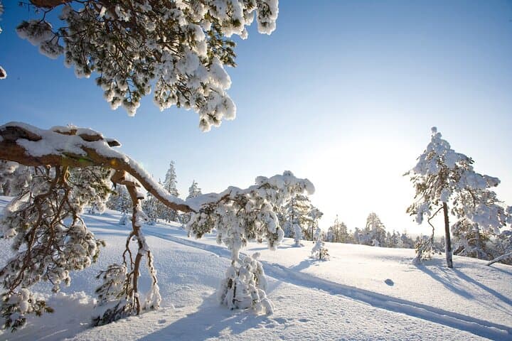 Snowshoe Trekking, Ice Fishing, and Grilling in Arctic Nature from Rovaniemi