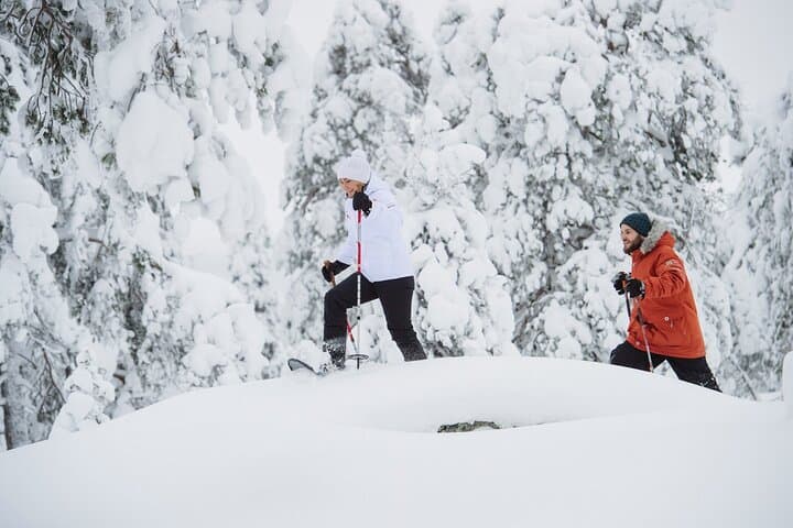 Snowshoe Trekking with Campfire BBQ from Rovaniemi